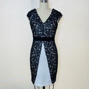 NWOT Venus Lace Bodycon Dress